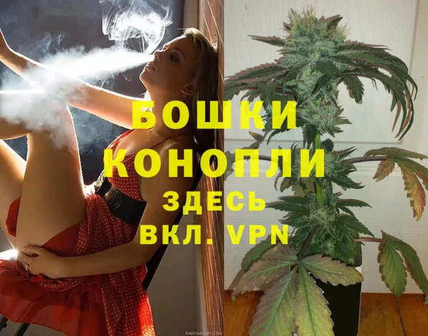 первитин Богданович
