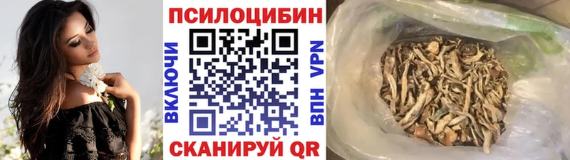 Галлюциногенные грибы Psilocybe  даркнет клад  Мценск  закладки  МЕГА как войти 